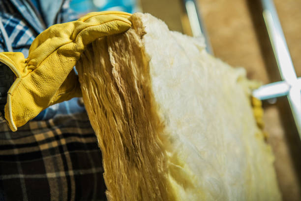 Best Specialty Insulation in Gilmer, TX